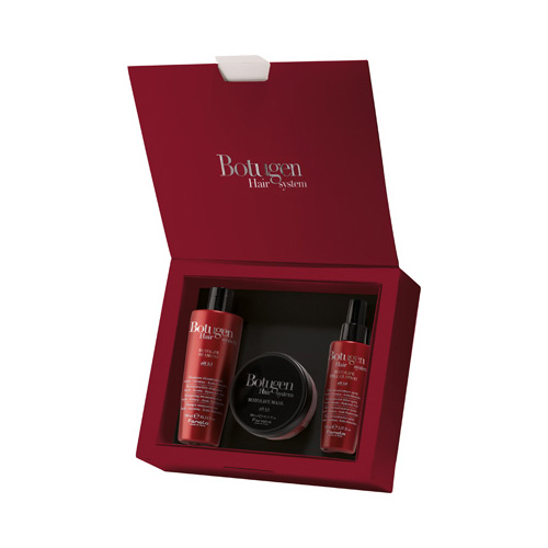 VEDLIGEHOLDELSESPROGRAM