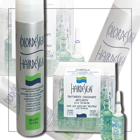 Colordesign : HAIRDESIGN