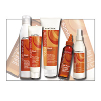 TOTAL RÉSULTATS - Élégant